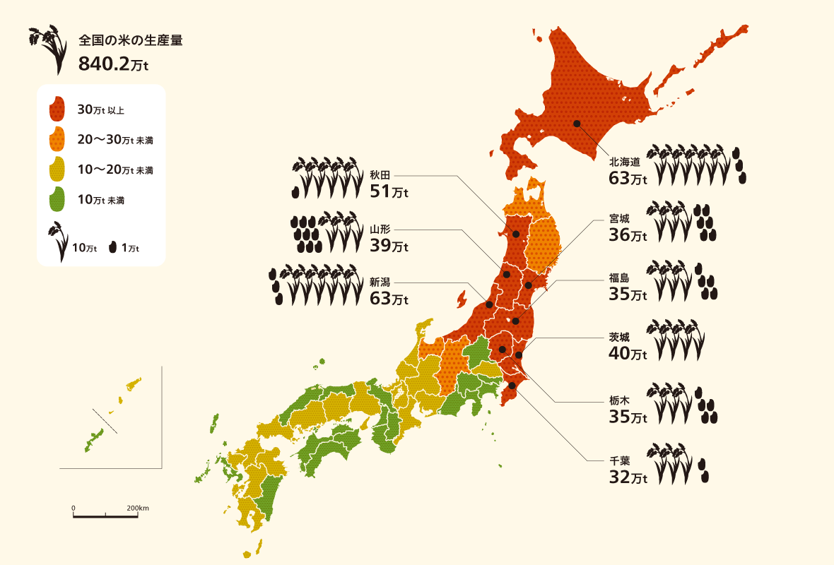 光村図書 小学校社会 | bowlgraphics