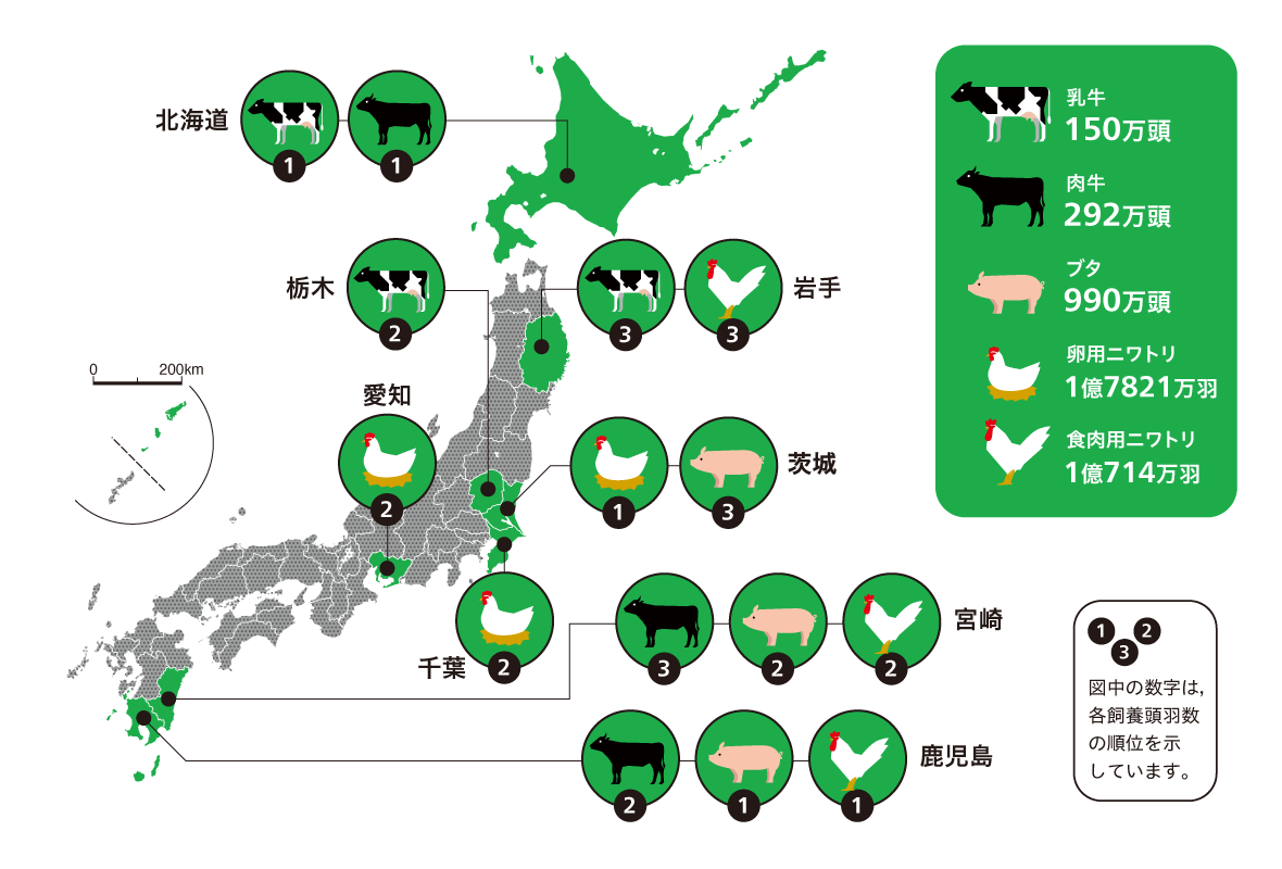 光村図書 小学校社会 | bowlgraphics